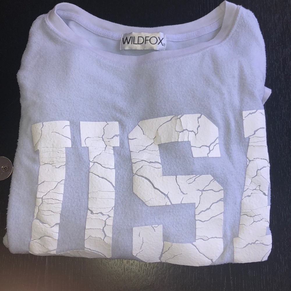 Wildfox light blue USA sweatshirt - Picture 3 of 4